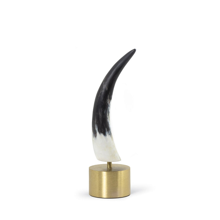 Dylan Horn | Brass