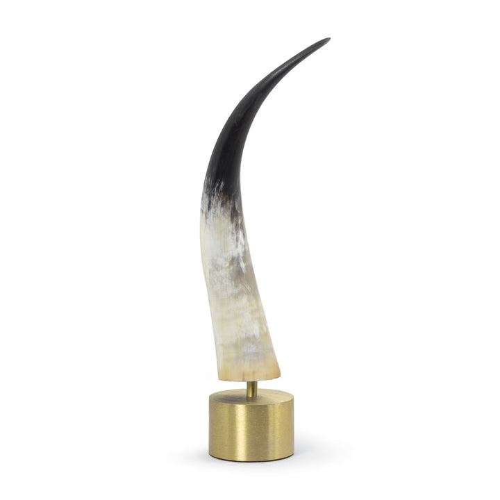 Dylan Horn | Brass