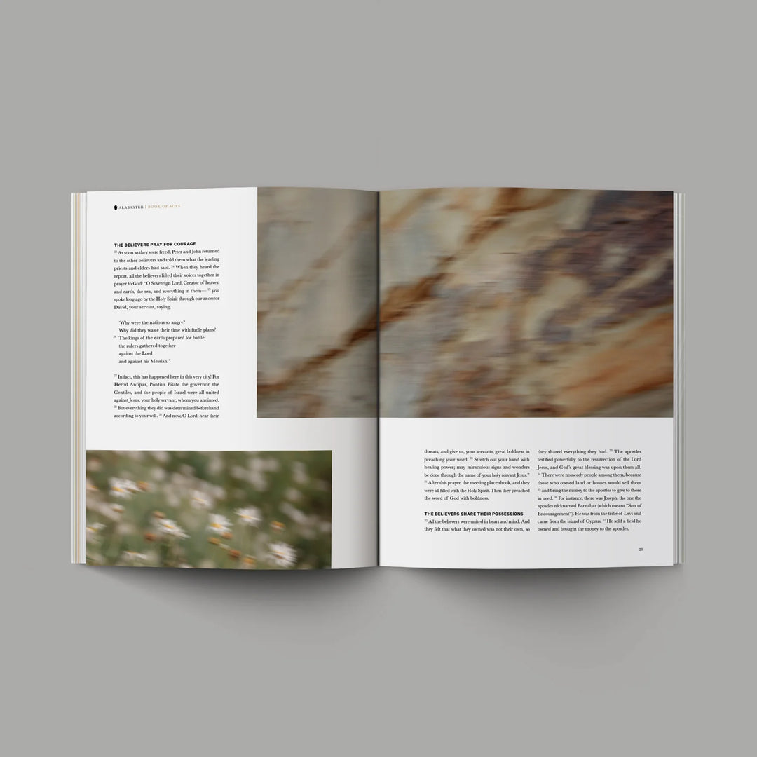 Book of Acts | Bible