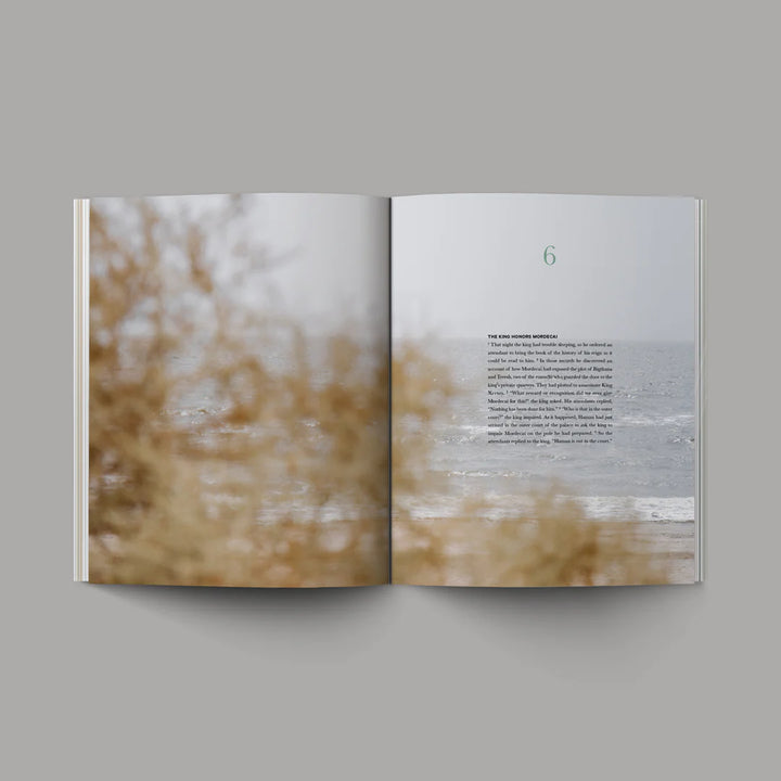 Book of Esther | Bible