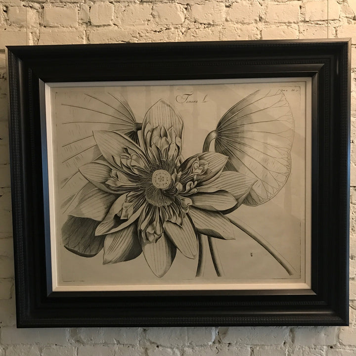 Custom Brittanica Botanical II | Art 38.25" x 32.25"