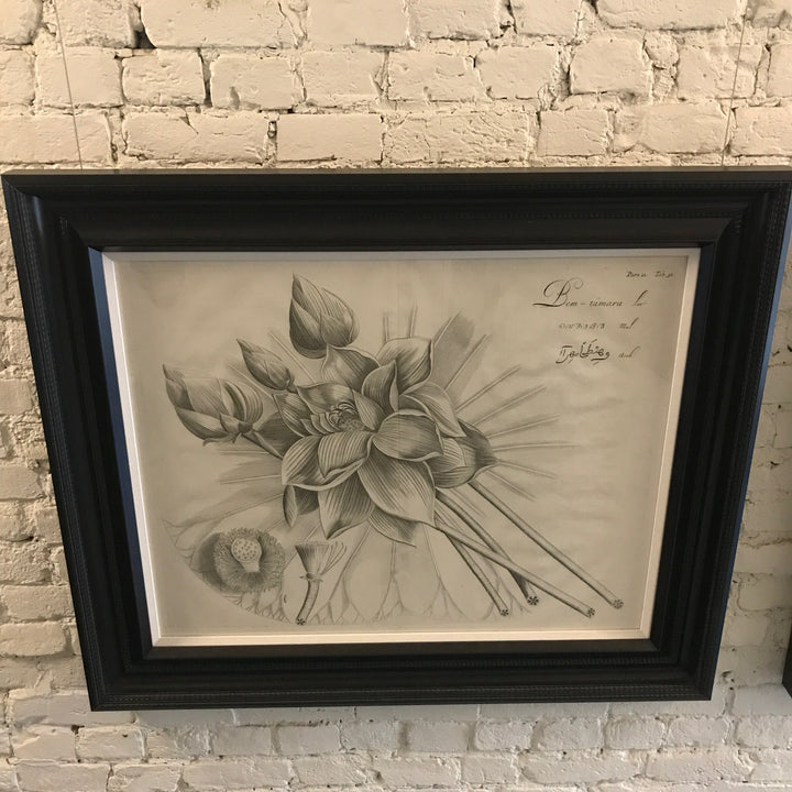 Custom Brittanica Botanica I | Art 38.25" x 32.25"