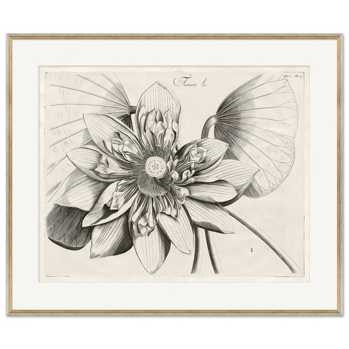 Custom Brittanica Botanical II | Art 38.25" x 32.25"