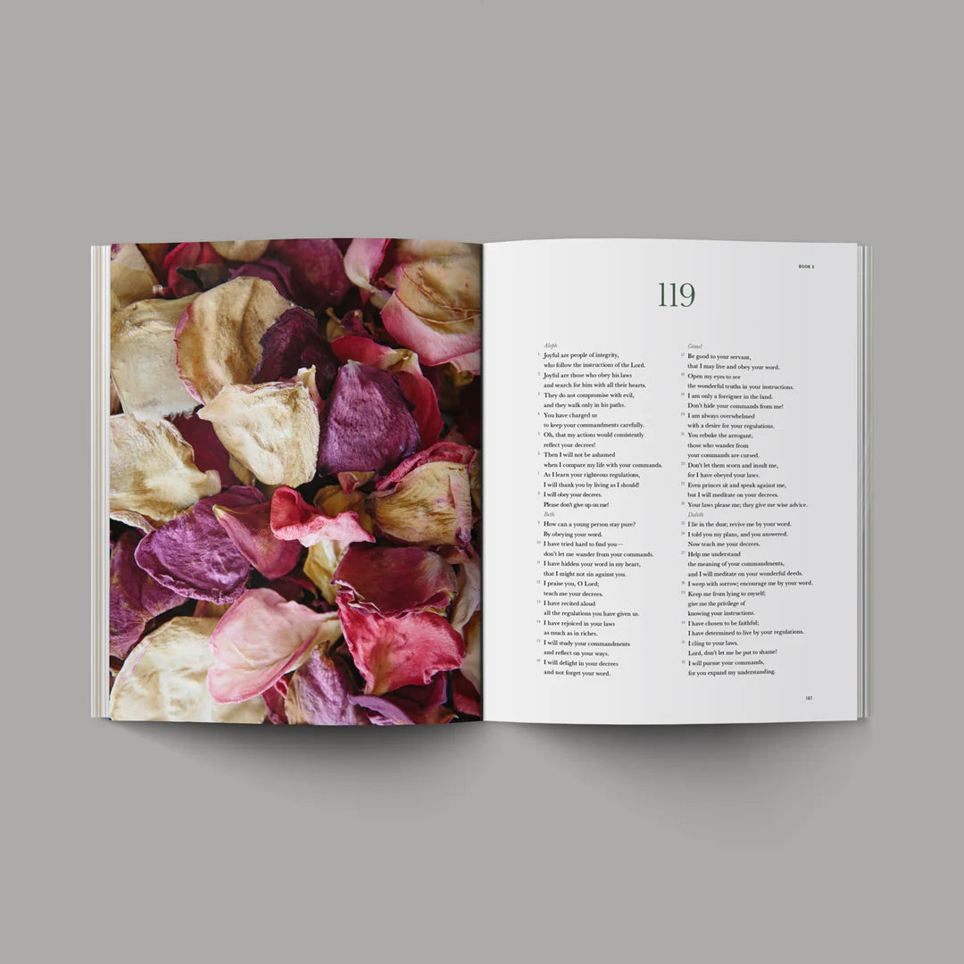 Book of Psalms | Bible