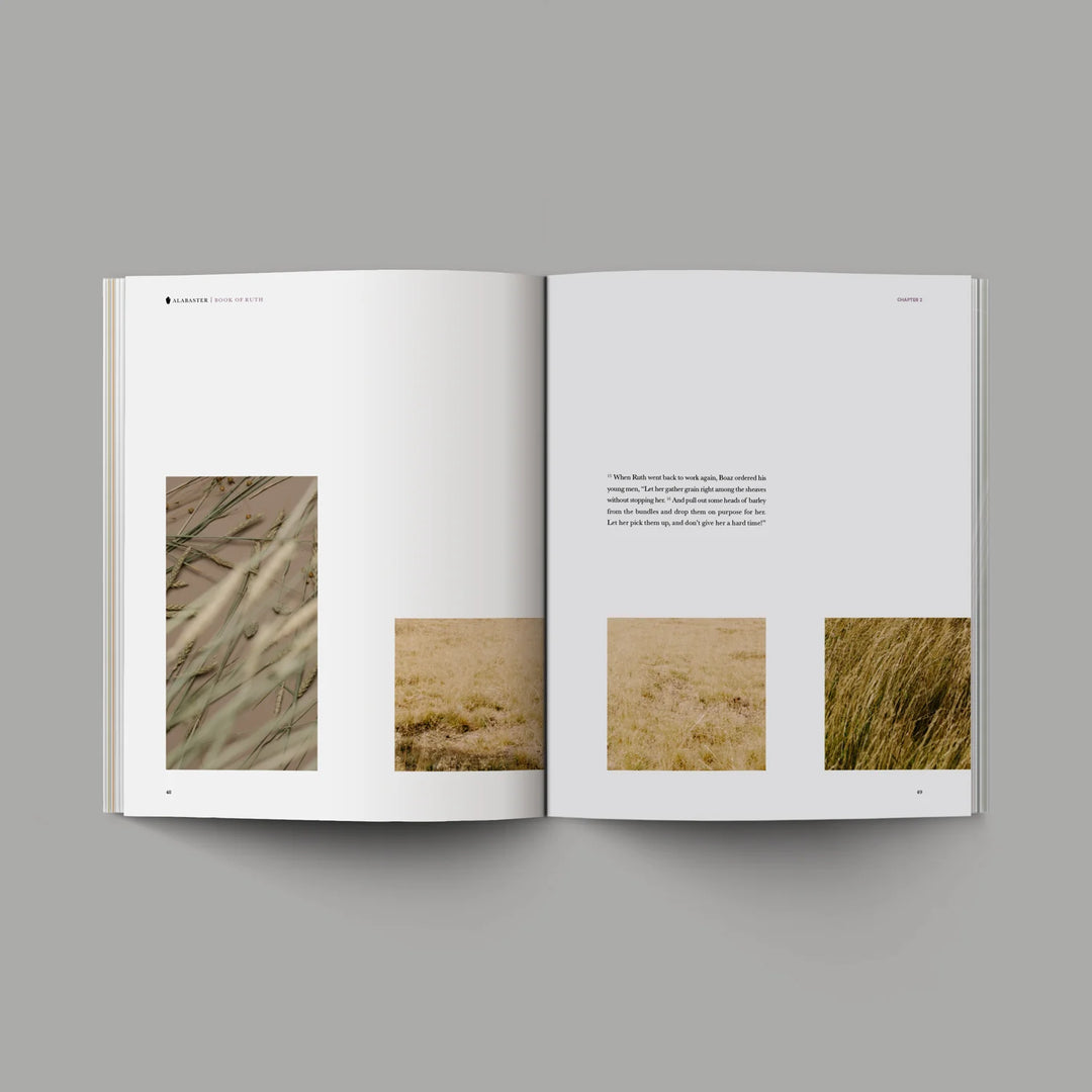 Book of Ruth | Bible