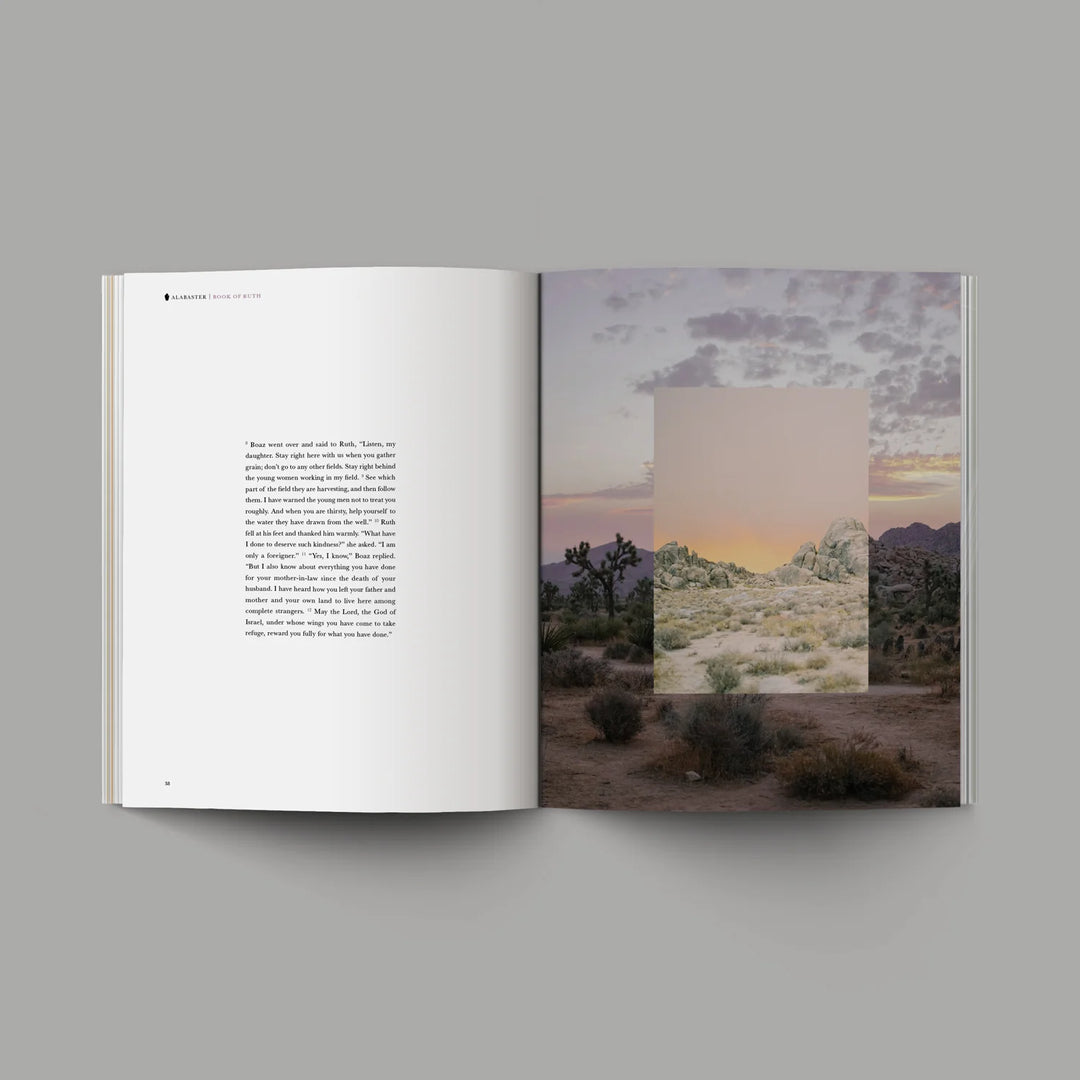 Book of Ruth | Bible