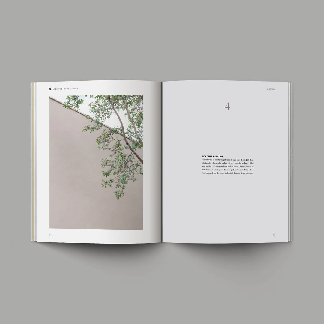 Book of Ruth | Bible