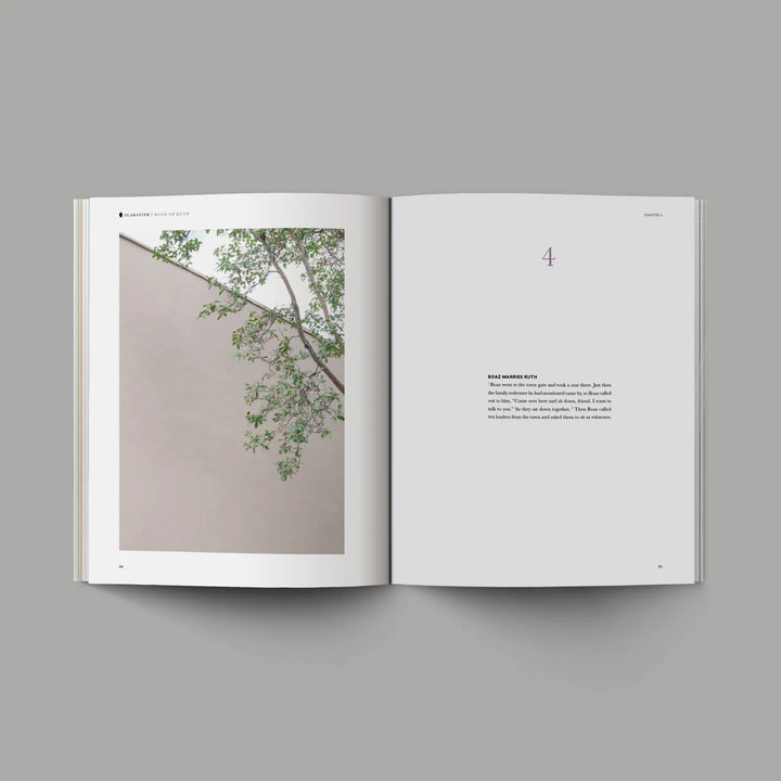 Book of Ruth | Bible