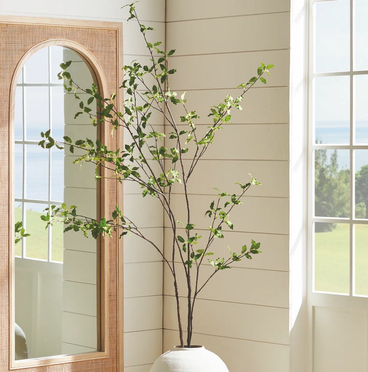 PITTOSPORUM BRANCH 78"