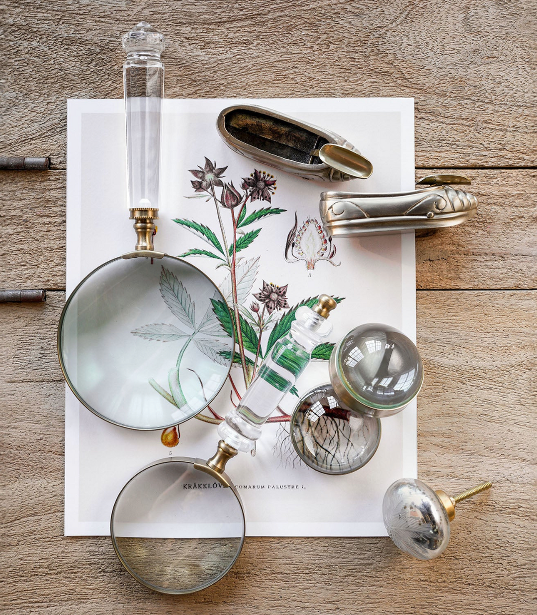 Lucite Magnifier | Large