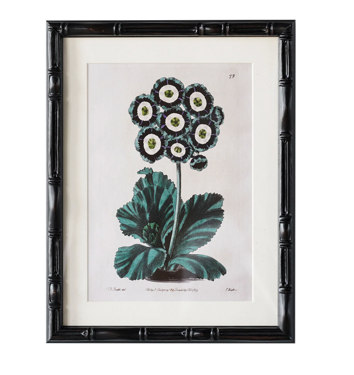 Castleford Matted Frame | 9x12