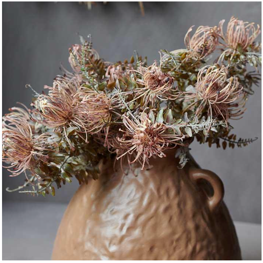 Leucospermum Bush