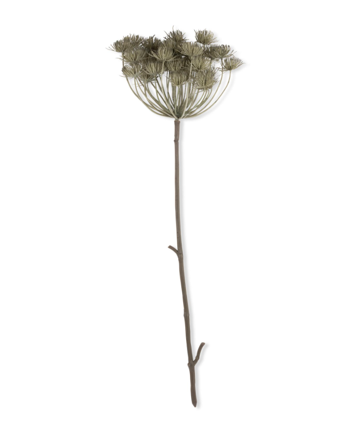 Angelica Haze | Floral