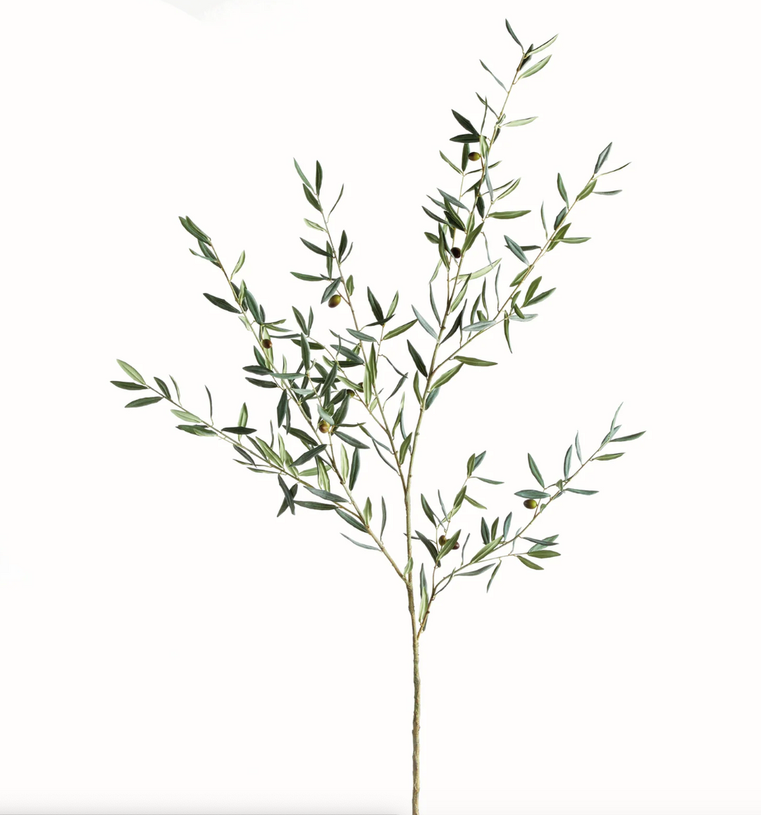 Olive Branch Stem | 67.5"
