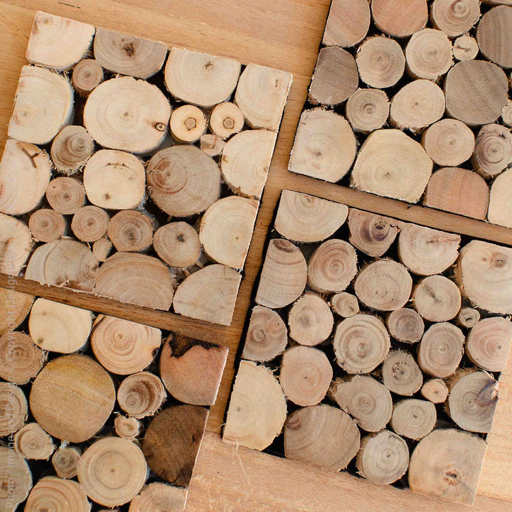 Wood Slice Coasters | Eucalyptus Set/4