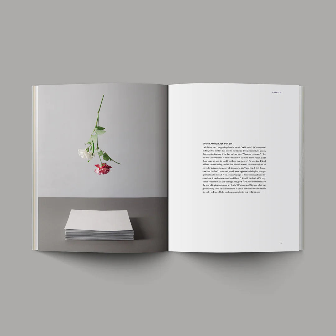 Book of Romans | Bible