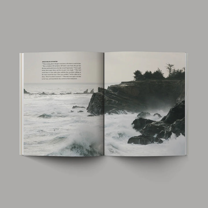 The Gospels - Hardcover | Bible