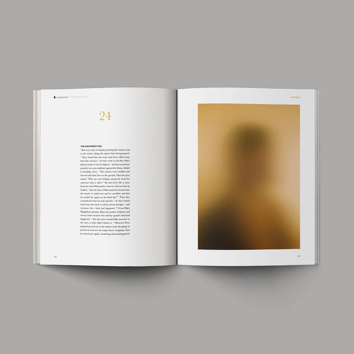 The Gospels - Hardcover | Bible