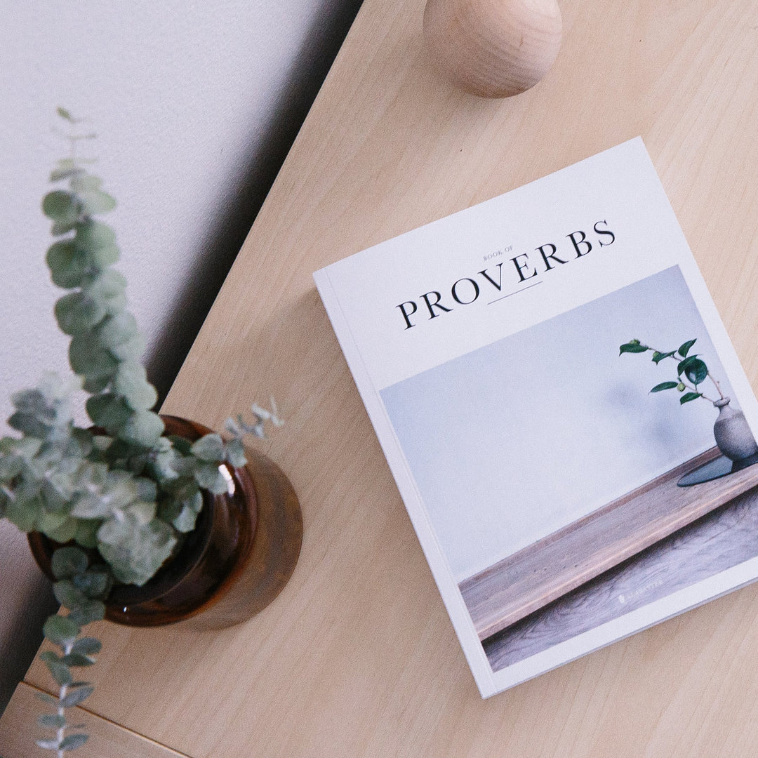 O+A Proverbs Bible in living space