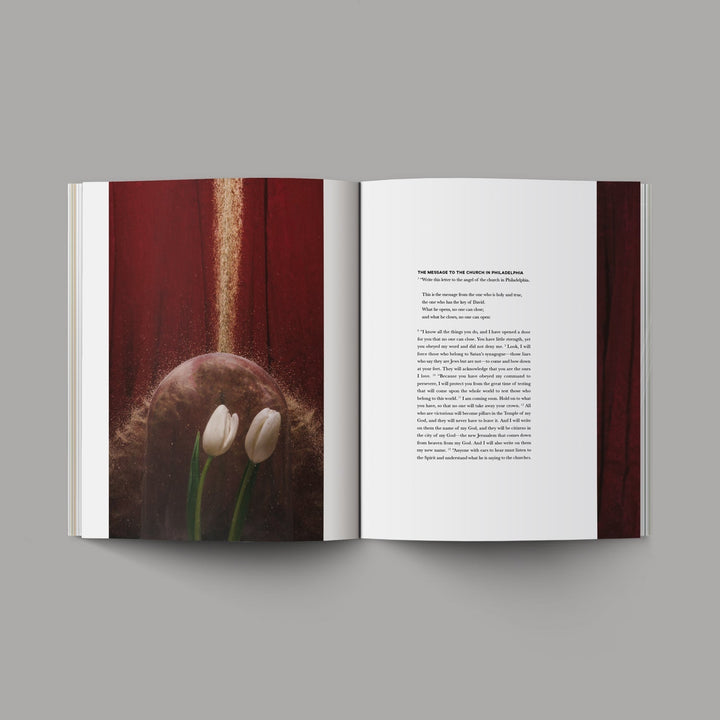 O+A The Book of Revelation inside pages