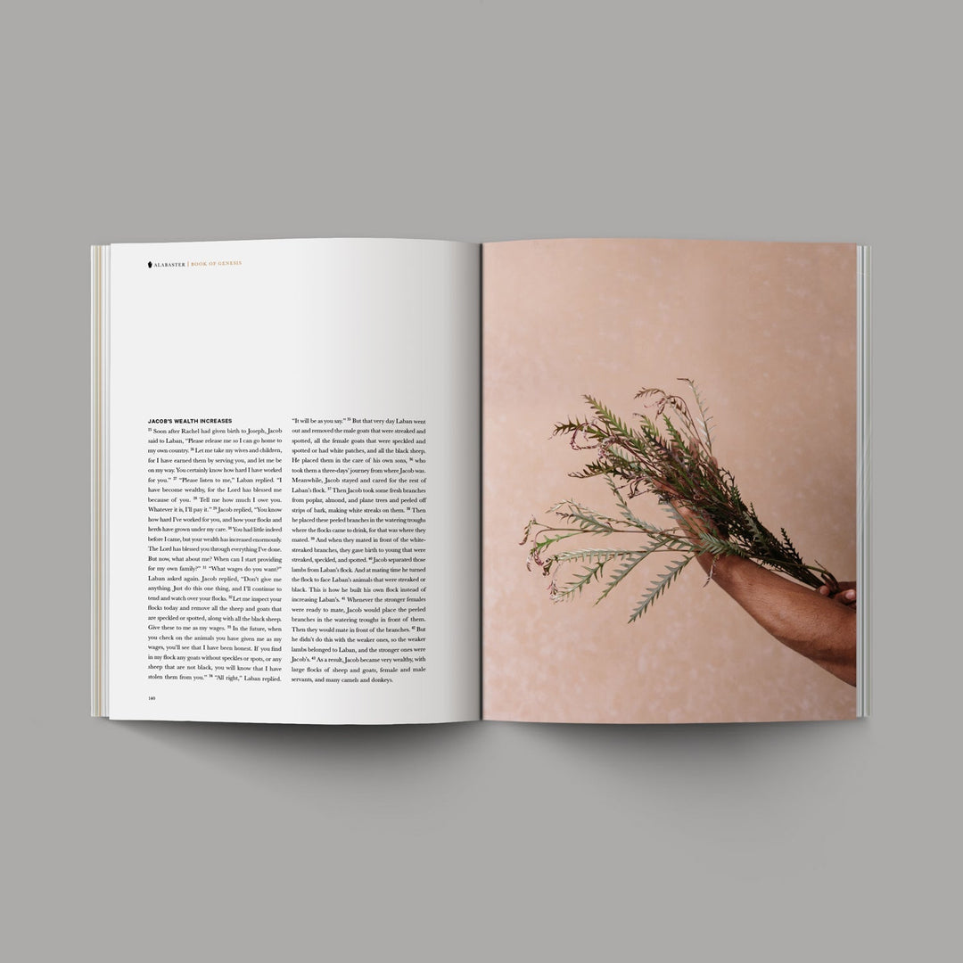 O+A Genesis Bible inside pages