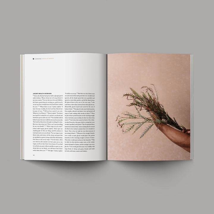 O+A Genesis Bible inside pages